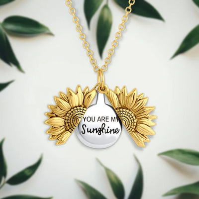 Sunshine Necklace Gift Set – Free Relationship Necklace & Butterfly Ear Cuff